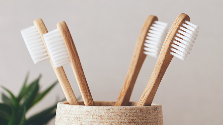 multiple toothbrushes in holder