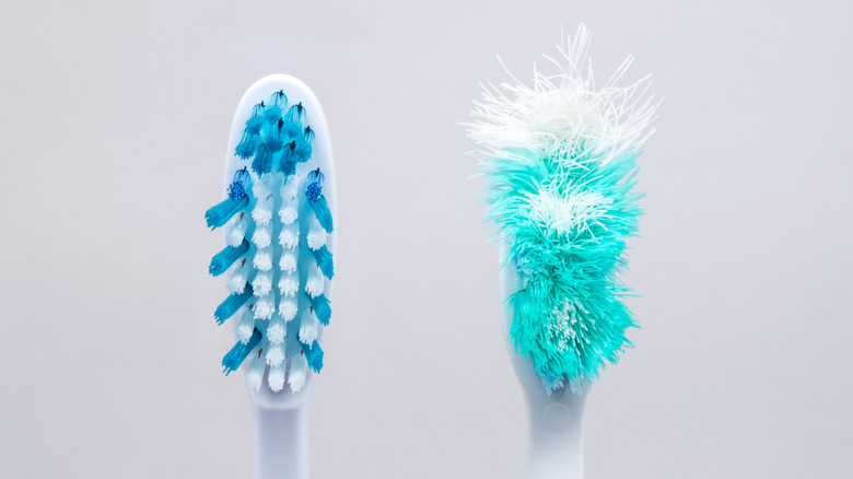frayed toothbrush