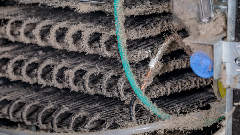 dirty refrigerator coils covered in dust