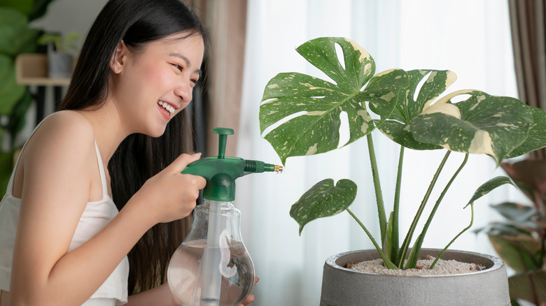 woman watering her monstera