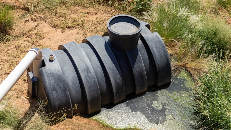 black septic tank buried in ground