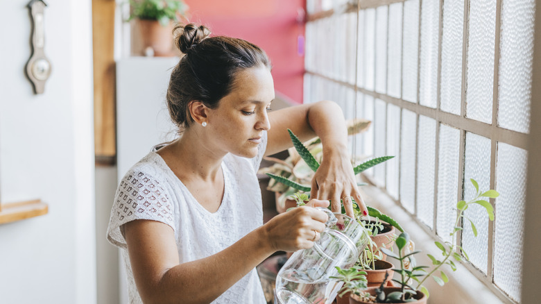 Woman watering houseplants