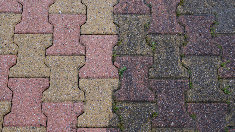 Before and after pressure washing