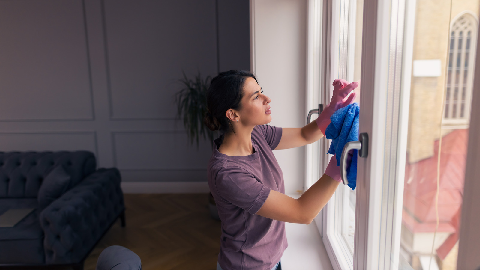 How Often You Should Really Be Cleaning Your Window Panes