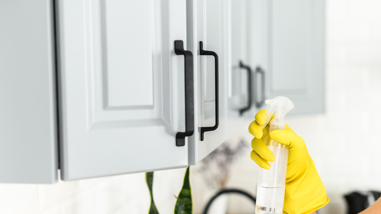 Person holding cleaner with cabinets