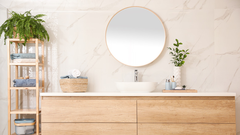 fern on shelves in bathroom