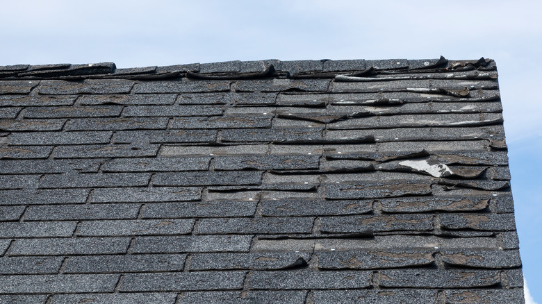 Roof with minor discolored shingles