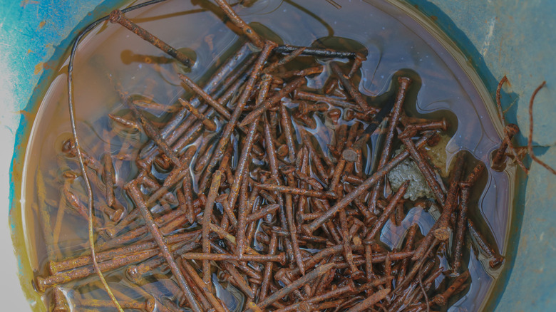 Rusty nails in water