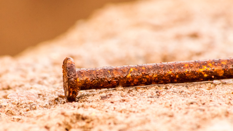 Rusty nail with iron