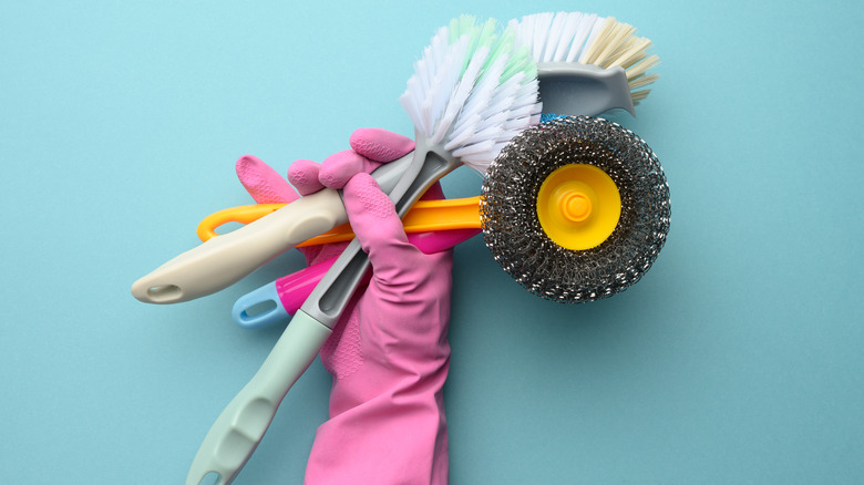 Gloved hand holding cleaning brushes