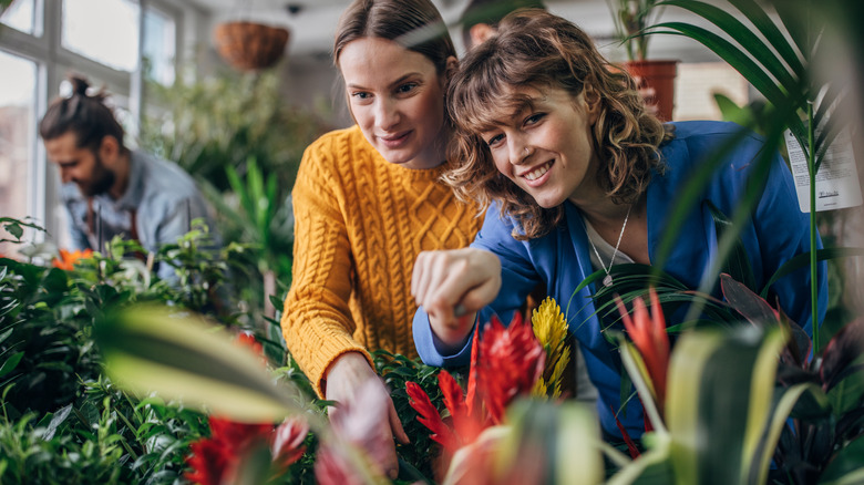 friends looking at plants