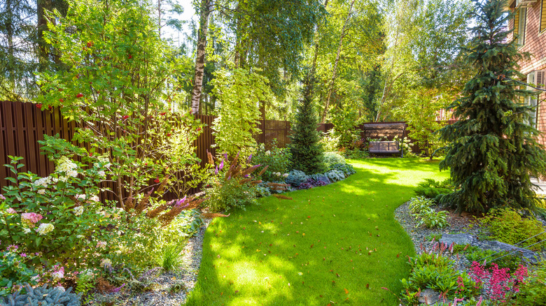 garden with trees