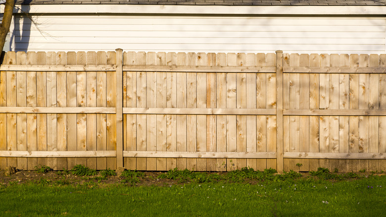 Typical inside of privacy fence