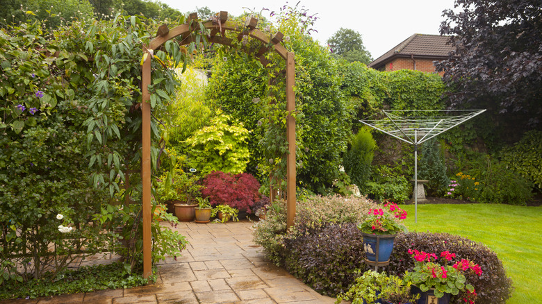 Lush yard with potted plants and vining plants growing on a wooden trellis