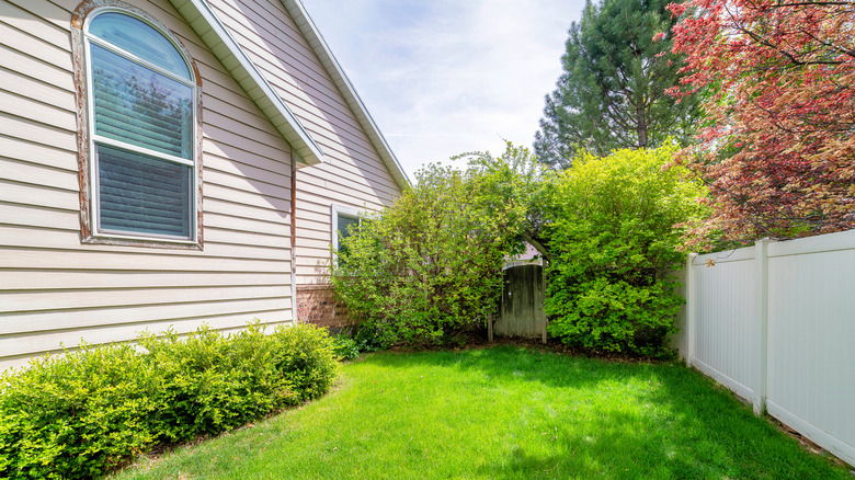 Clean side yard with lush vines growing on a trellis.