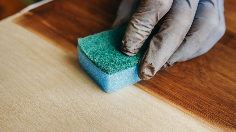 Person staining plywood with sponge