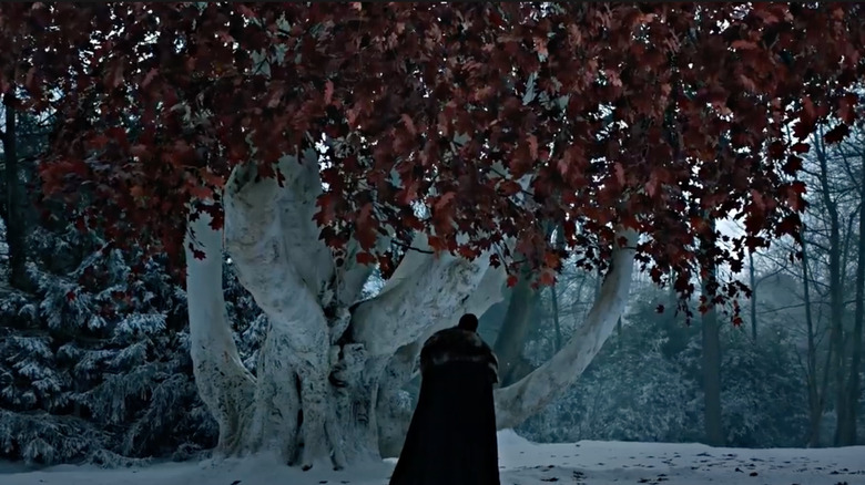 Jon Snow visits the Weirwood tree