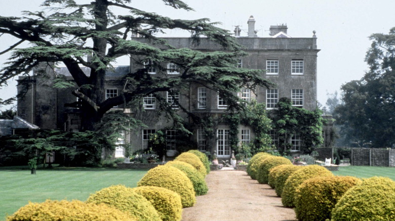 Lime green boxwoods flank a gravel path at Highgrove