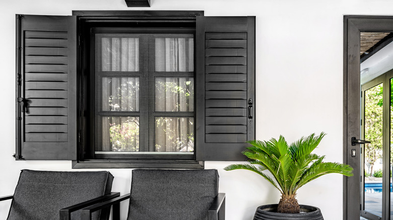 Black shutters