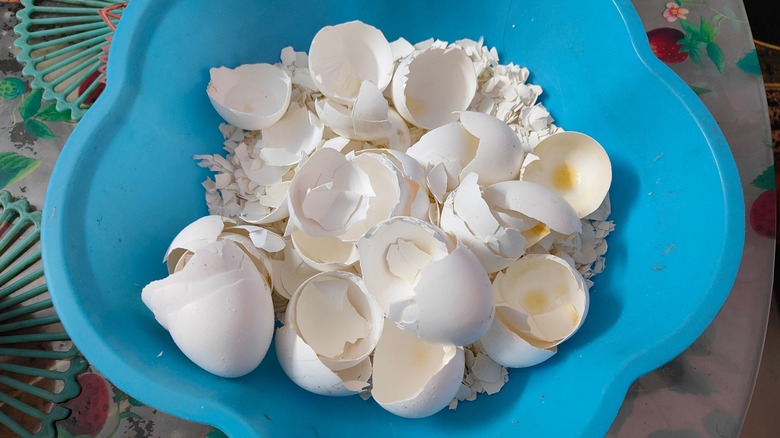 Eggshells in bowl