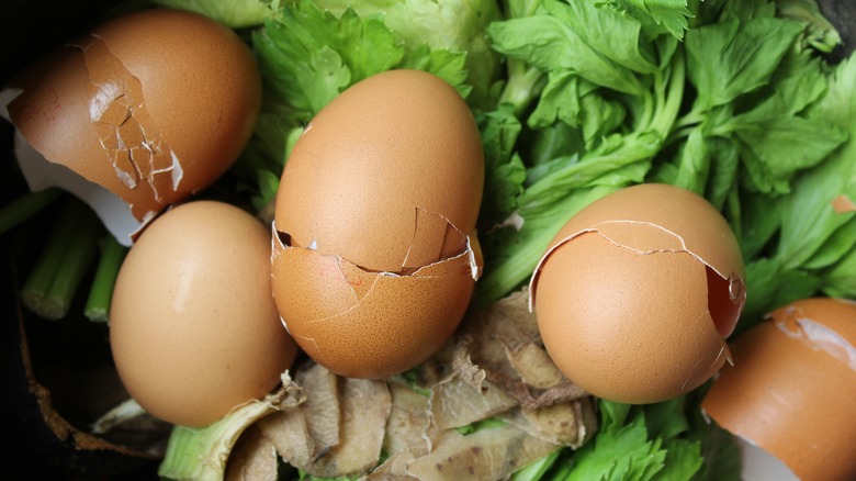 egg shells in compost