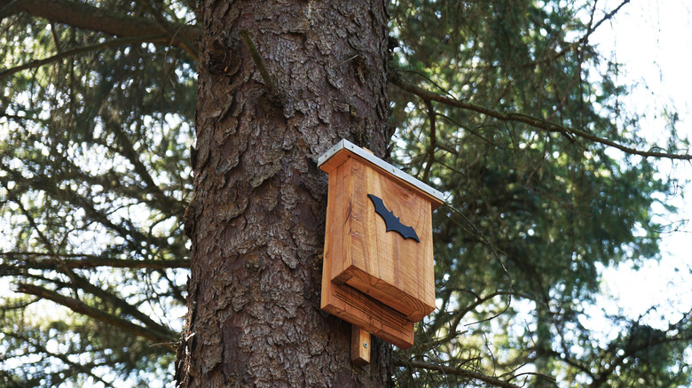 Bat house