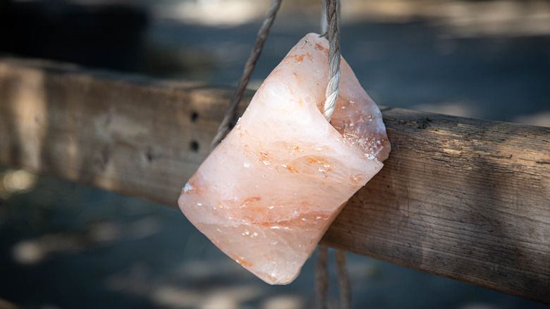 Pink Himalayan salt lick