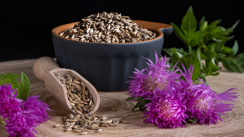 Thistle seeds