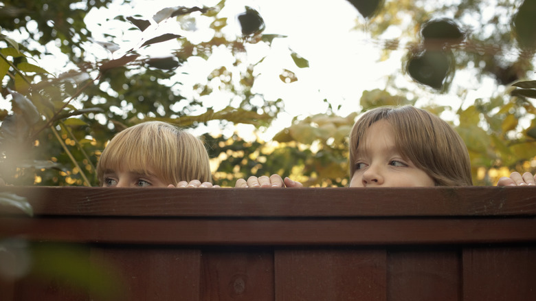 children looking over fence