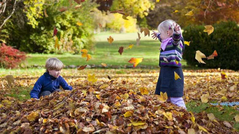 children playing in leaf pile