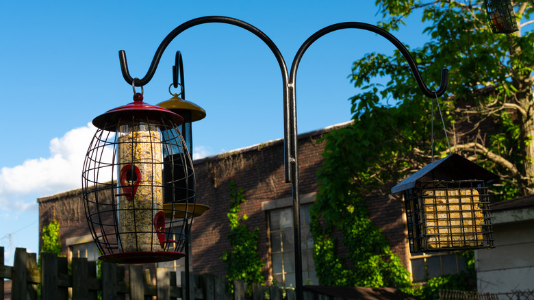 Bird feeders