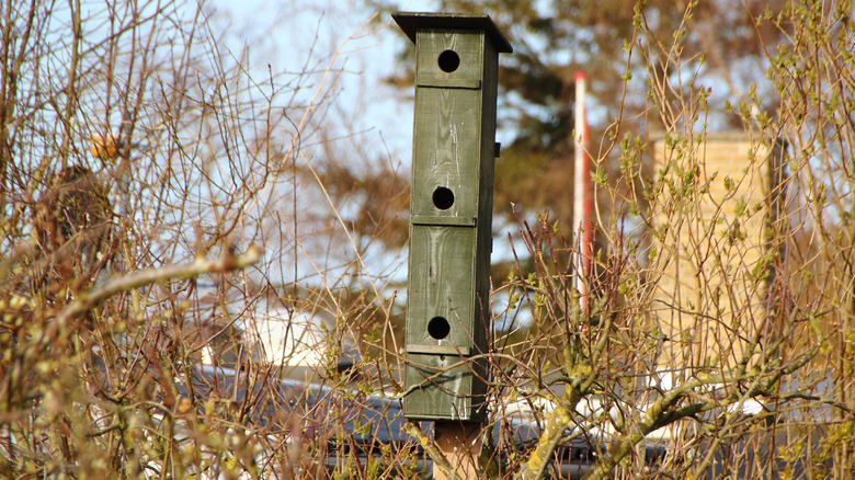 DIY birdhouse in tree 