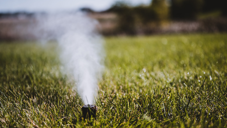 Automatic lawn sprinkler blowing water out of the sprinkler head