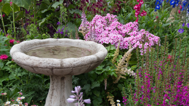 Bird bath surrounded by flowers