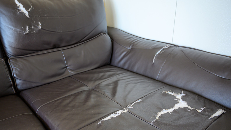 ripped leather couch