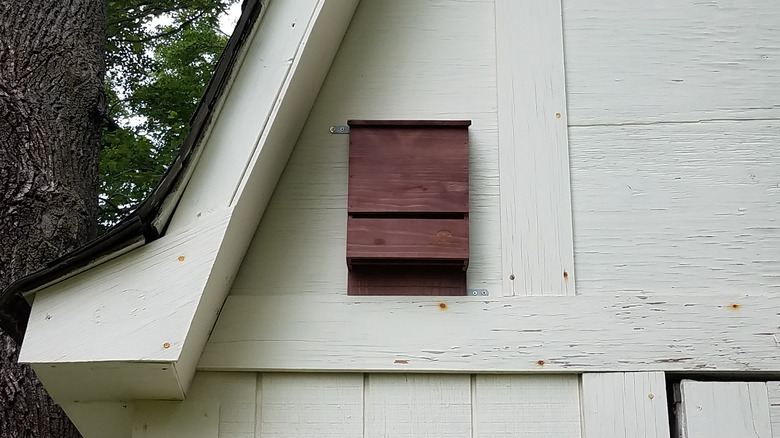 Brown bat box under a barn eaves