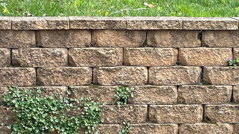 A retaining wall made of concrete pavers