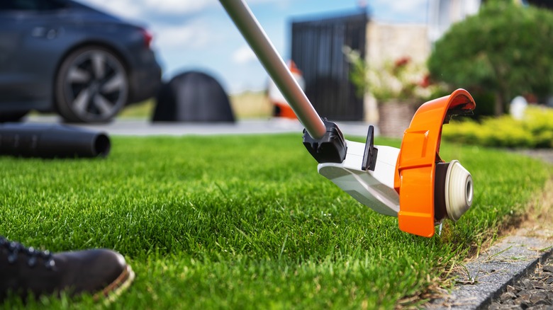 Person using a weed eater