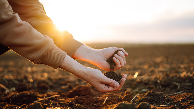 Man holding soil