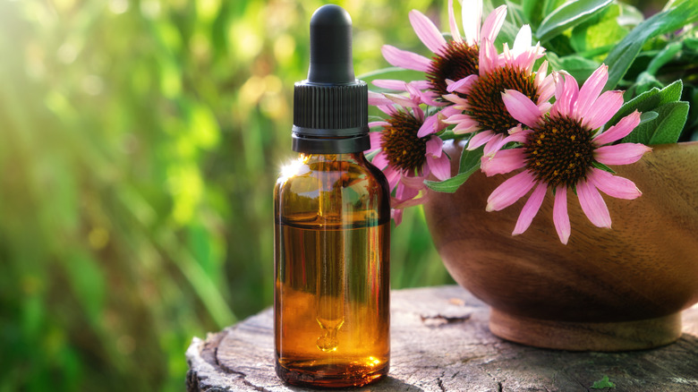 coneflower and essential oils