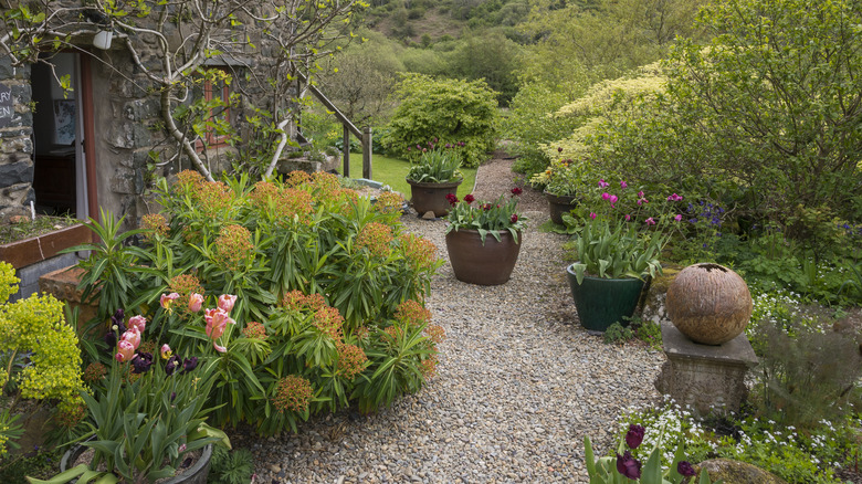 Gravel garden outside stone house 