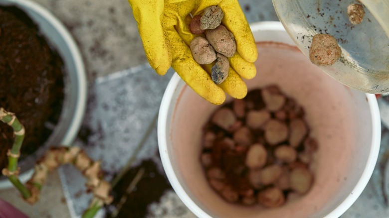 Gardener preparing a pot