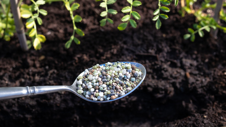 Spoon with granular fertilizer