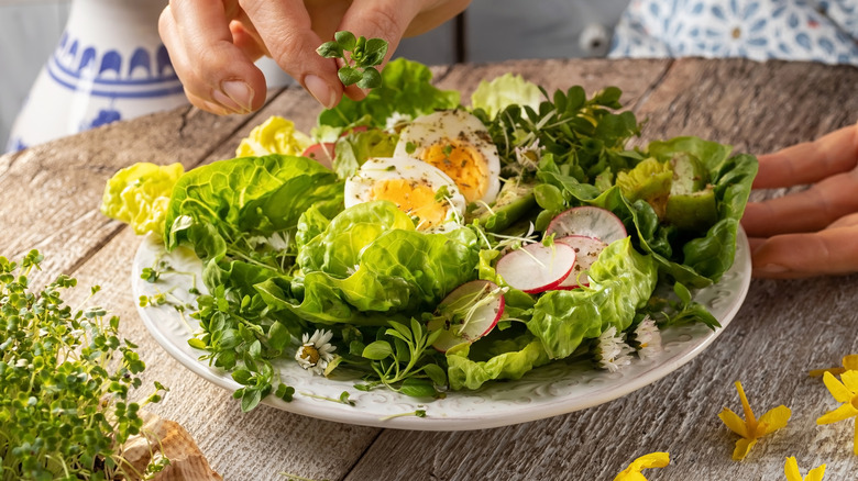 Daisies with salad greens