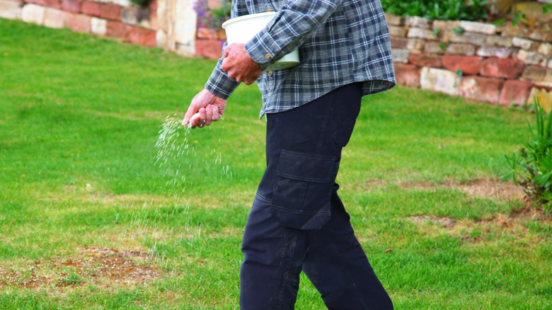 Man fertilizing yard