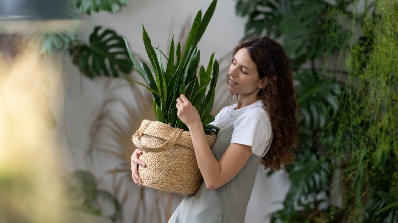 Woman holding large plant