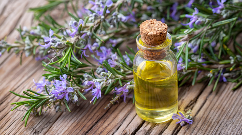 rosemary essential oil