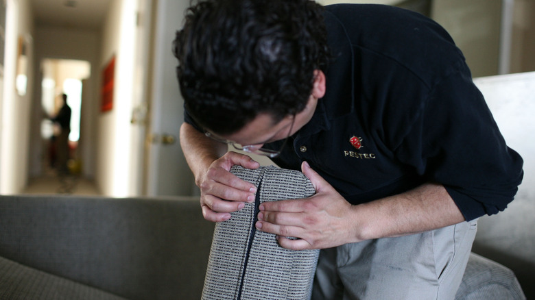 man checking couch cushion seams