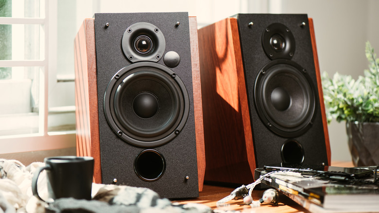 large home speakers