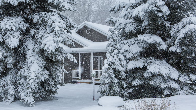 A home in the winter that's surrounded by snow.